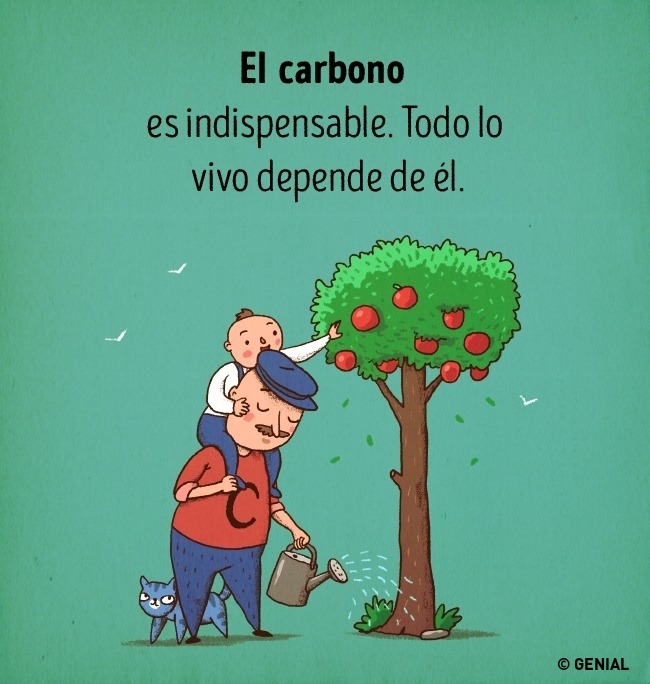 elementos-quimicos-de-personas-4